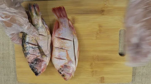 Close up Nile Tilapia ready to be cooked and seasoned Stock Footage 264934661