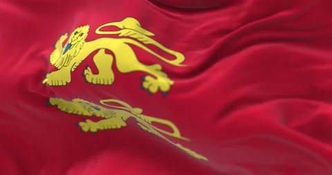 Close-up of of Normandy flag waving in the wind Stock Footage 297772874