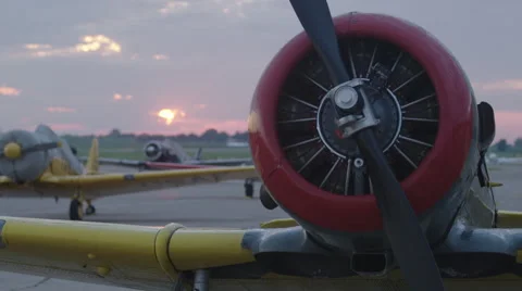 Close-up of North American T-6 Texan warbird on Wittman Regional Airport Vídeos de archivo 50185528