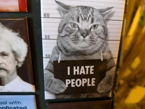 Close-up of novelty magnet featuring grumpy cat mugshot with humorous phrase Stock Photos