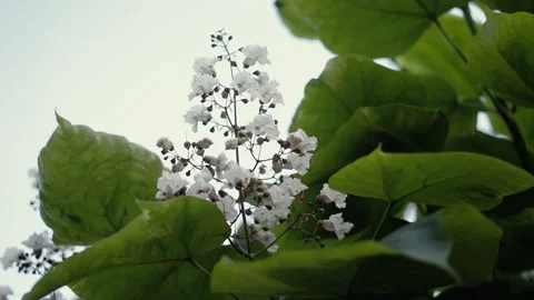 Close up number floor on screen during elevator stays Video stock 214542767