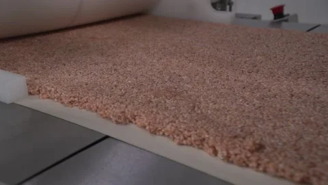 Close up of nut raw material moving on nut bar making machine conveyor Stock Footage 163713686