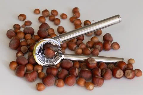 Close-up of Nutcracker, Hazelnut Kernel and Canadian Hazelnut Foto stock