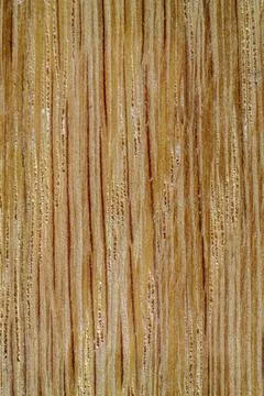 Close up oak timber plank texture Stock Photos