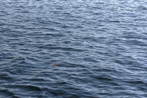 Close up of the ocean in motion in the sunlinght Stock Photos
