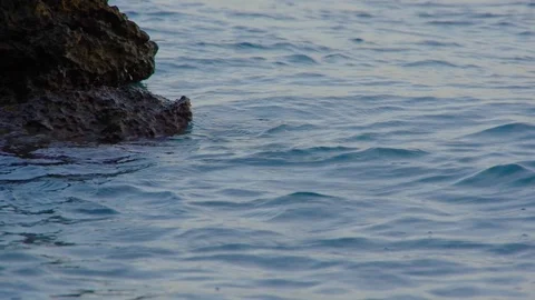 Close up of ocean water surface with rock in left corner. 库存影片 94325178