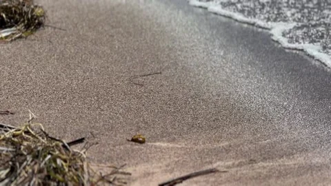 Close-Up Ocean Waves Washing Over Sandy Beach Shore Video stock 334100220