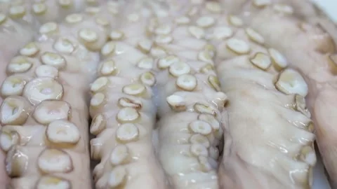 Close-up of an octopus. Panorama of the octopus tentacles. Preparation for Stock Footage 167243199
