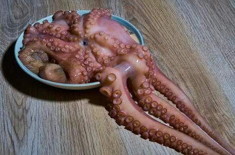 A close-up of octopus on plate Stockfoto's