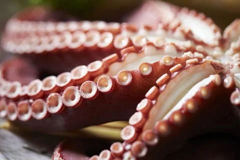 Close up of octopus on a plate Stock Photos