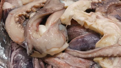 Close-up of octopus tentacles and fresh squid at a seafood market Stock Footage 344800920