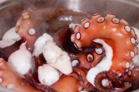 Close up of octopus tentacles baking in the pot Stock Photos