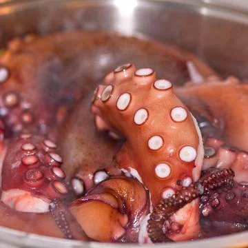 Close up of octopus tentacles baking in the pot Stock Photos