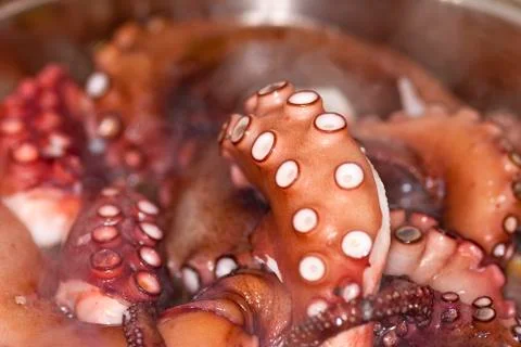 Close up of octopus tentacles baking in the pot Stock Photos