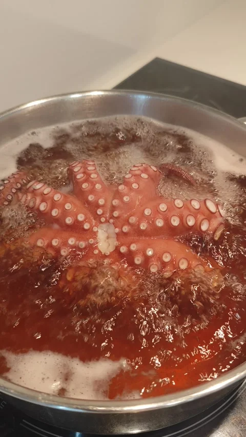 Close up of octopus tentacles boiling in a pot Stock Footage 327159452