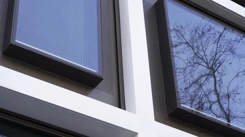 Close up of an offices windows, reflection in a window of autumn tree branches. Video stock 270435319