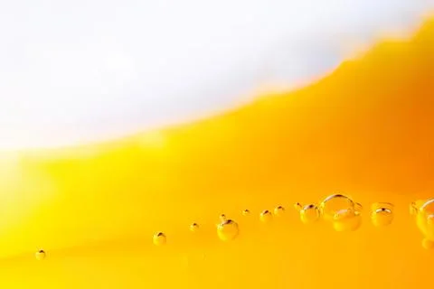 Close-up of oil bubbles floating on a yellow liquid surface Stock Photos