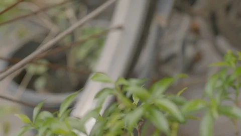 Close-up old bicycle Hub. Stock Footage 98072419