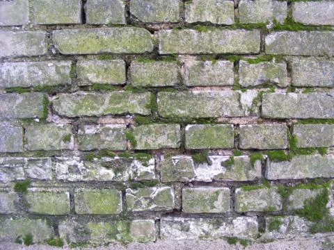 Close up of old brick wall covered in green moss Stock Photos
