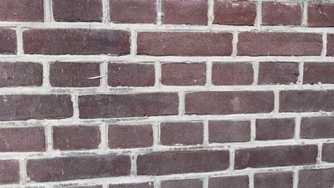 Close-up. Old Brick Wall of  Old Village House. Selective focus 스톡 동영상 136049068