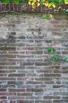 Close up of old brick wall outside Stock Photos