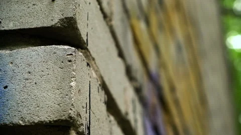 Close-up of Old Brick Wall. Small Insect Crawling Up Wall. Ant. Macro. Building Stock Footage 145043299