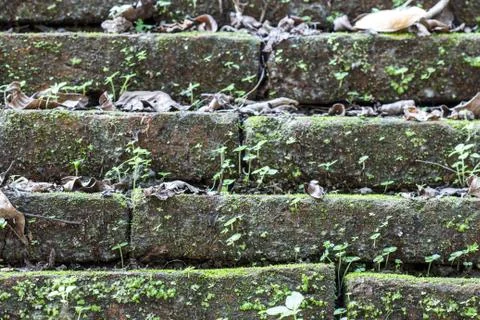 Close up of old  brick-wall, texture background Stock Photos