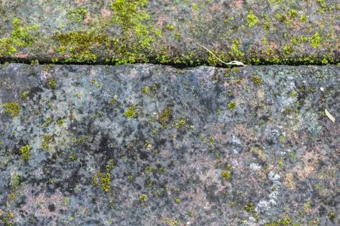 Close up of old  brick-wall, texture background Stock Photos