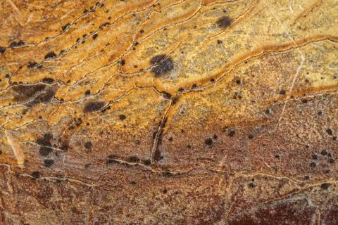 Close up Old brown leather texture and background Stock Photos