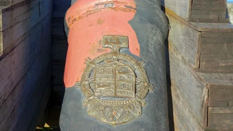 Close up of old cannon emblem Stock Footage 168486699