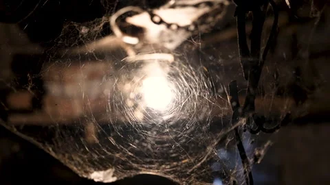 Close-Up of Old Ceiling Light with Cobwebs Stock Footage 345990623