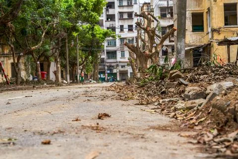Close-up of old decrepit trees and wooden stakes in an old residential area Stock Photos