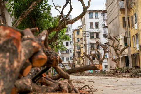 Close-up of old decrepit trees and wooden stakes in an old residential area Stock Photos