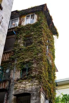 Close-up of old decrepit trees and wooden stakes in an old residential area Stockfoto's