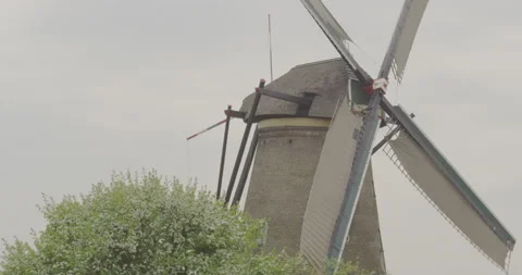 Close-up of an old dutch windmill and a blossoming tree in the foreground Stock Footage 145148023