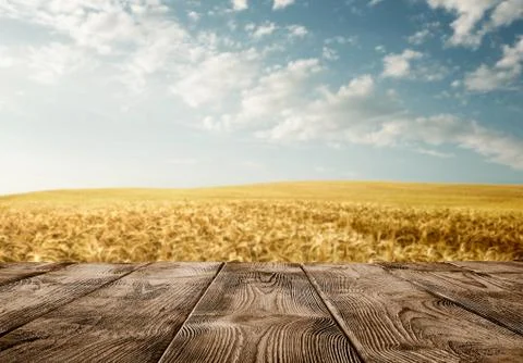 Close up of old empty wooden table over wheat field Stock Photos