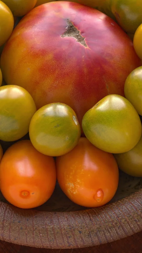 Close-up of Old German, Green grape cherry and Orange Banana heirloom tomatoes Video stock 342848270