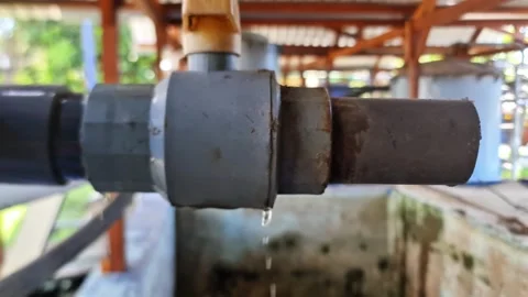 Close-Up of an Old Leaking PVC Pipe Union Fitting and Valve with Dripping Water Stock-Footage 337723053