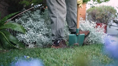 Close up of old man feet digging with shovel in the backyard of his garden. Stock Footage 283495390