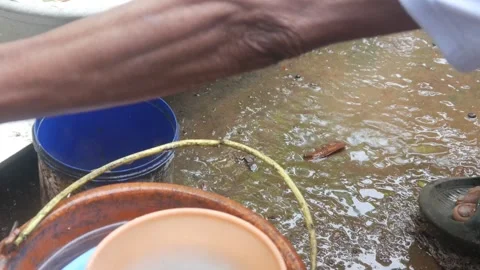 Close up of old man hands washing dishes outdoors Stock Footage 315189368