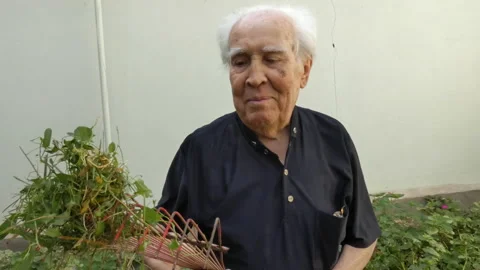 Close-up of an old man taking down a tangled grass on a rake. Stock Footage 161777215