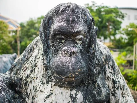 Close up Old Monkey statue,Vintage monkey statue. Foto stock