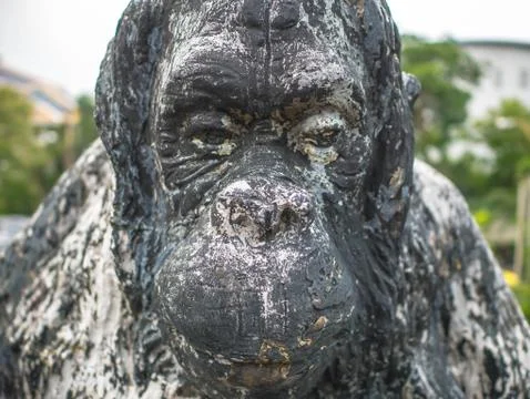 Close up Old Monkey statue,Vintage monkey statue. Stock Photos