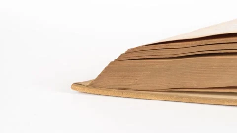 Close-up of an old, open book Vídeo Stock 295581958
