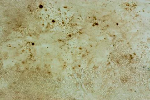 Close up of old paper Stock Photos