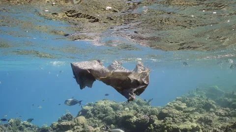 Close-up of the old plastic bag floating under the surface of the water Stock Footage 237228415
