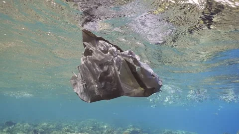 Close-up of the old plastic bag floating under the surface of the water Stock Footage 240370149