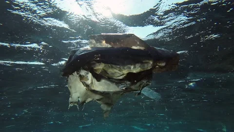 Close-up of the old plastic bag floats under the surface of the water Video stock 232488062