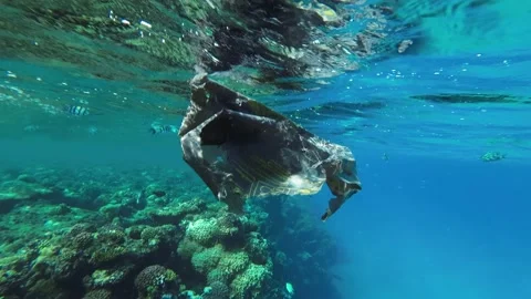 Close-up of the old plastic bag floats under the surface of the water Stock Footage 232773282