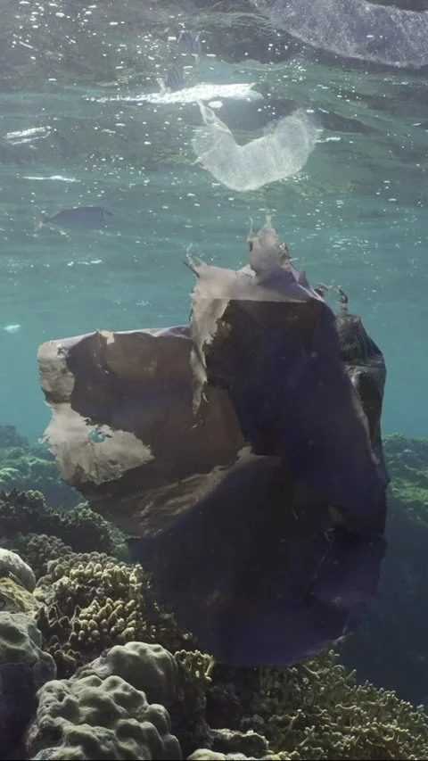 Close-up of the old plastic bag floats under the surface of the water Stock Footage 237229180